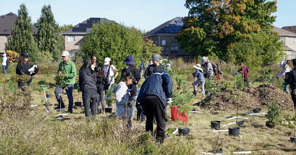 SOLD OUT – Community Tree Planting at Chatfield District Park