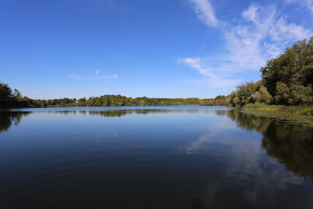 Heart Lake Conservation Park