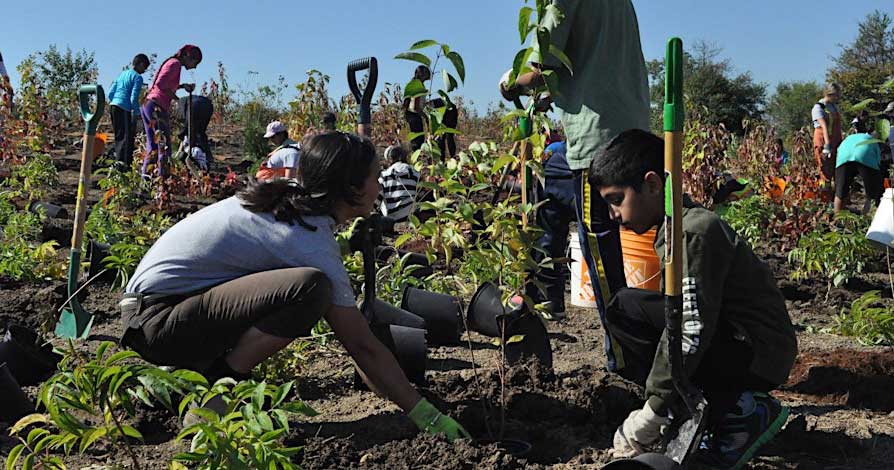 Brampton Community Tree Planting at Chinguacousy Park