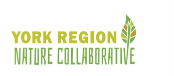 York Region Nature Collaborative