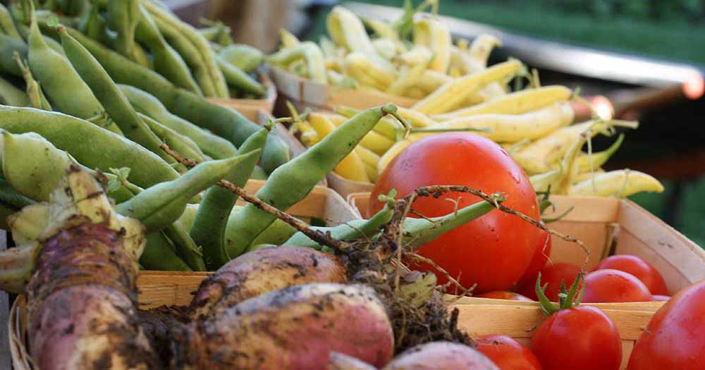 How to Plan a Successful Vegetable Garden