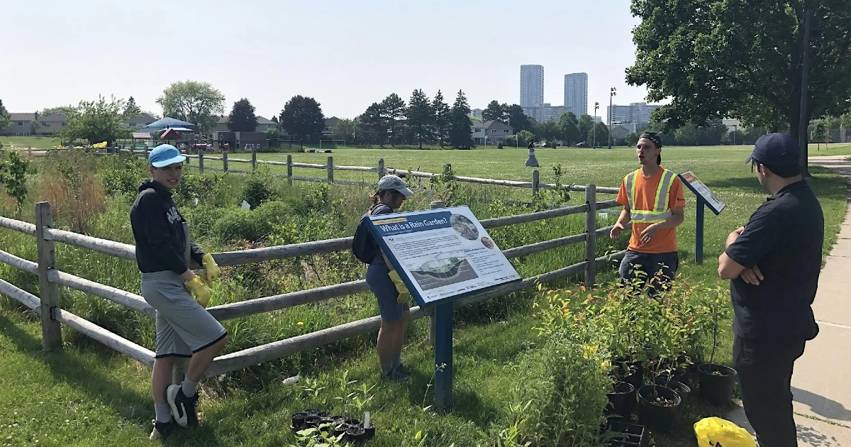 Conservation Youth Corps | Thornhill Garden Maintenance