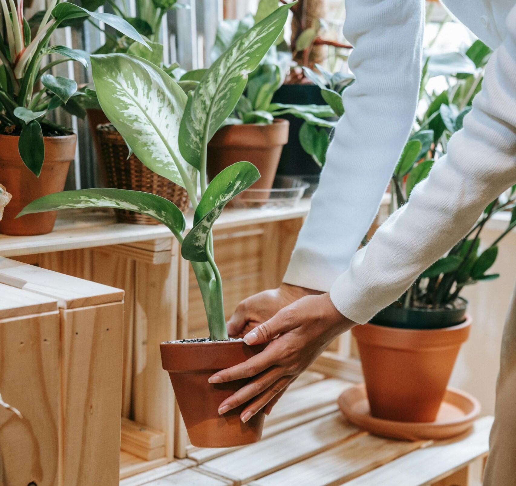 Sustainable Balcony Gardening