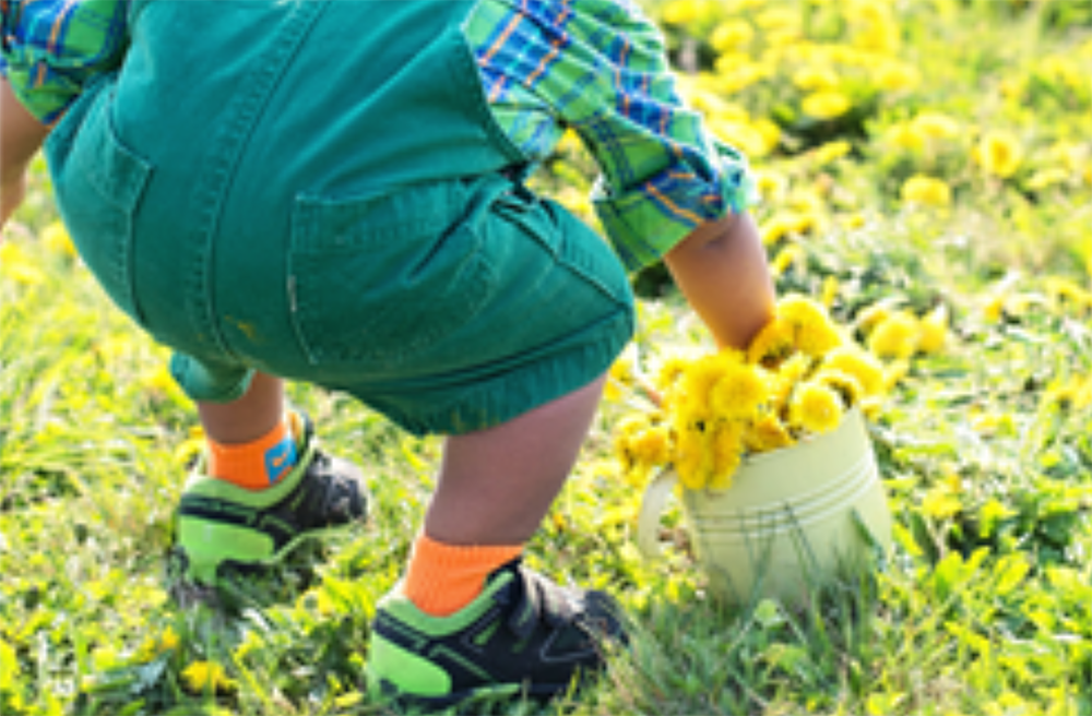 Little Saplings Parent & Tot Program