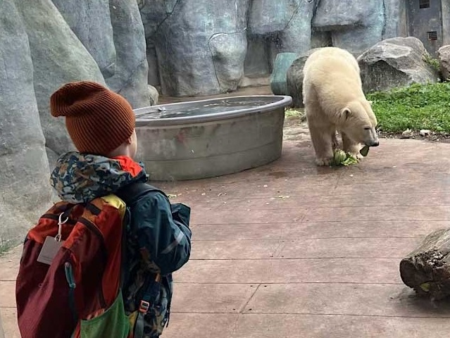 Toronto Zoo