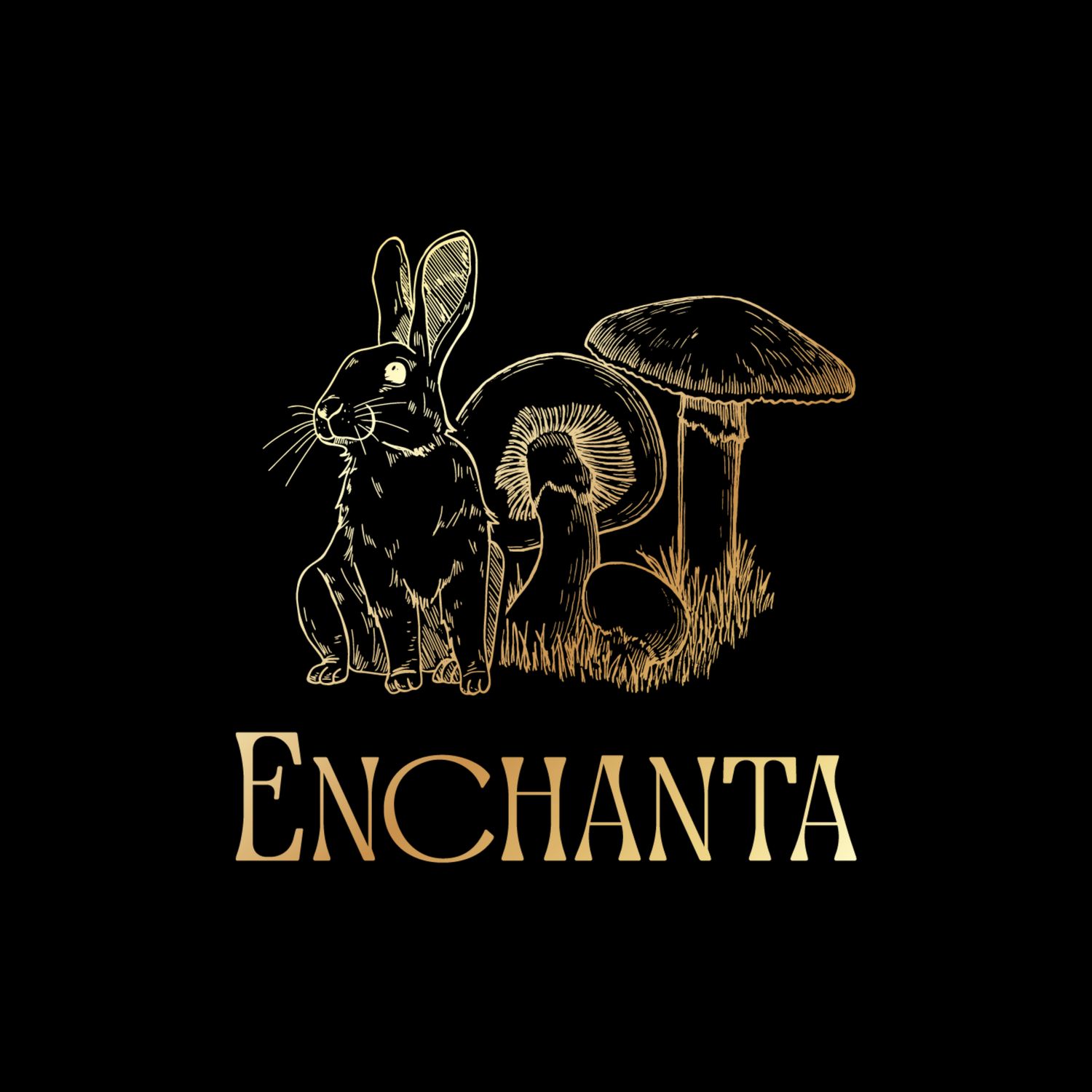 The Enchanta Company