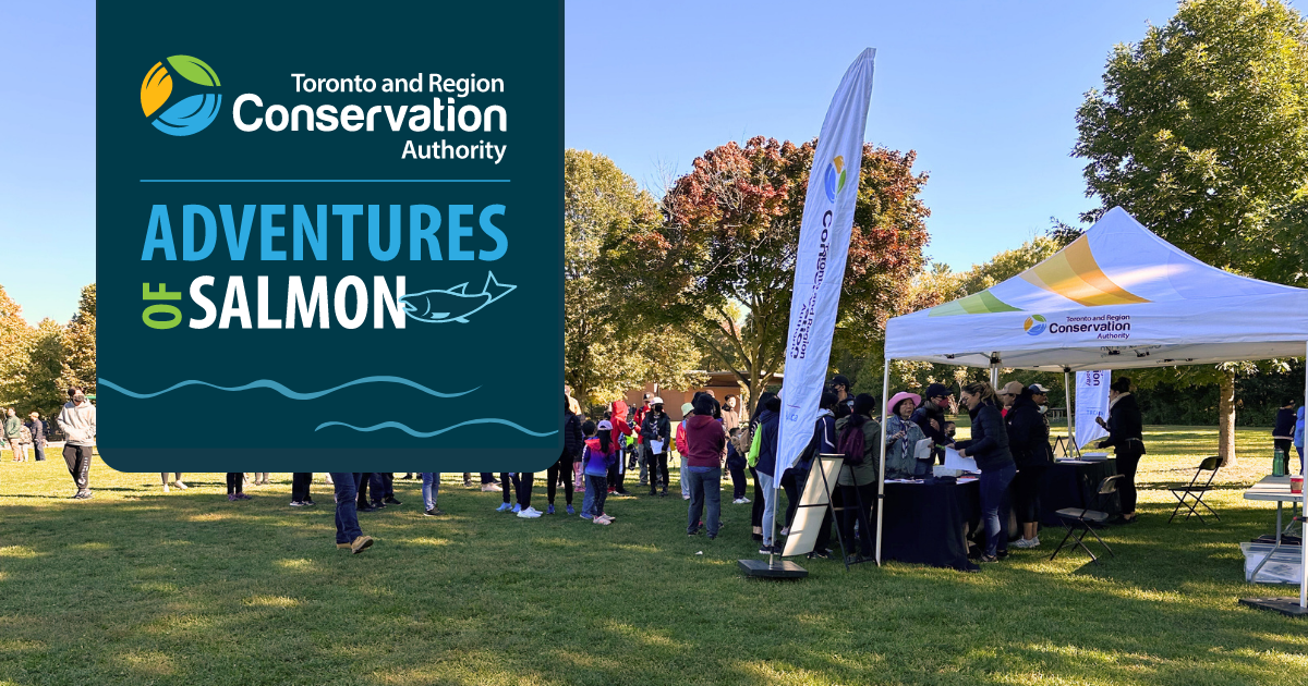 Salmon Adventure at Morningside Park