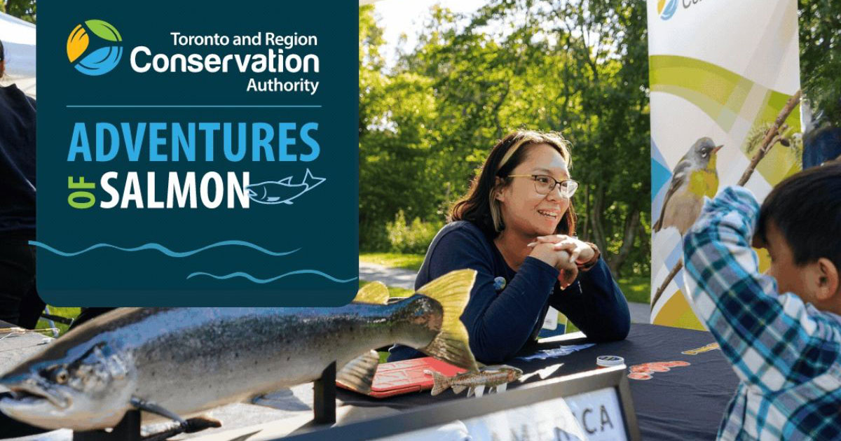TRCA Adventures of Salmon