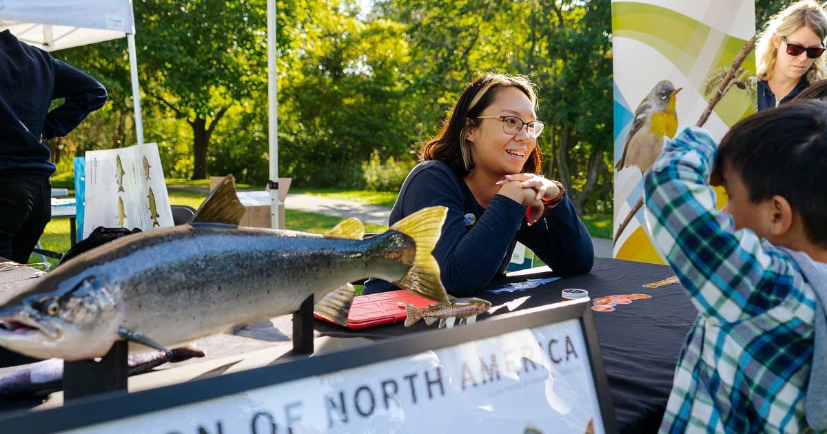 TRCA Adventures of Salmon