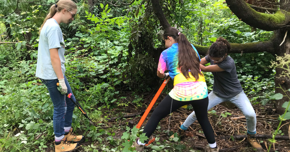 Conservation Youth Corps | PA Day