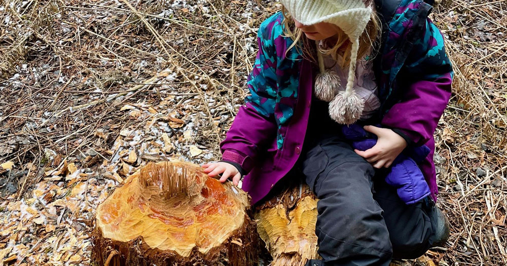 PA Day Camp @ Claremont Nature Centre