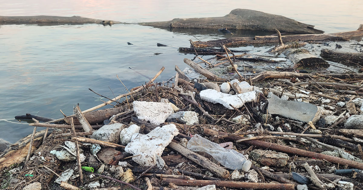 Webinar: Preventing Polystyrene Foam Pollution in Lake Ontario