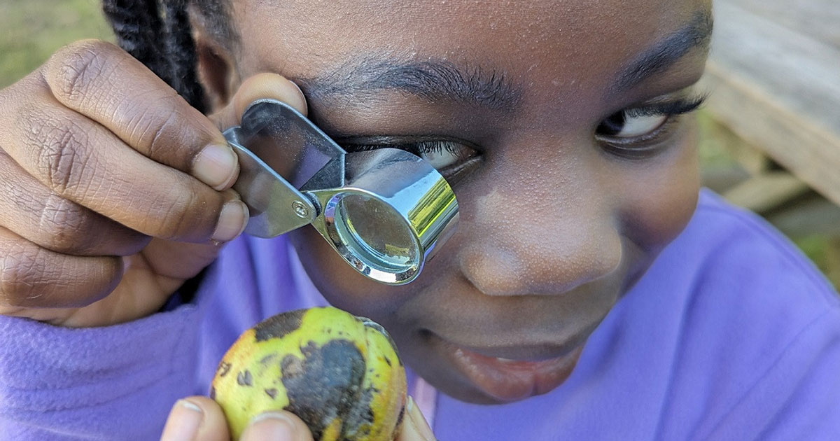 Homeschool @ Claireville