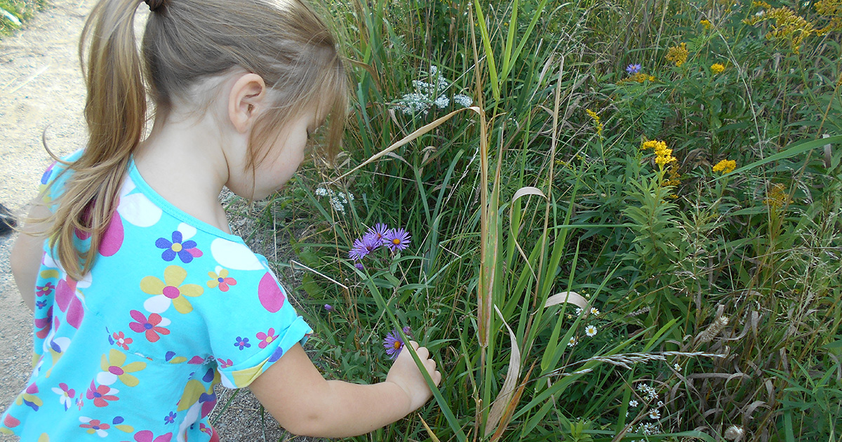 Nature Babies @ Claireville