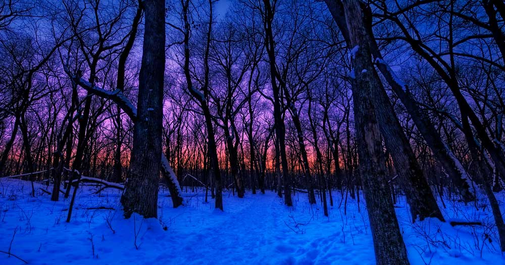 Winter Solstice Series: Guided Solstice Nature Hike