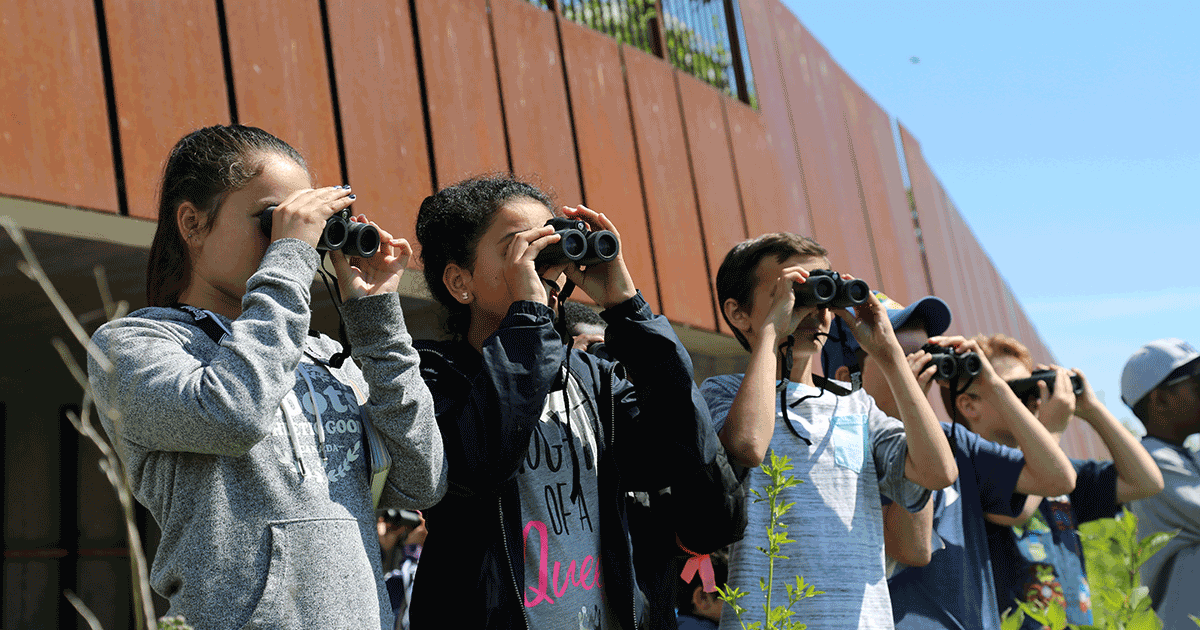 Winter Birding Series: Birding Basics-Advanced