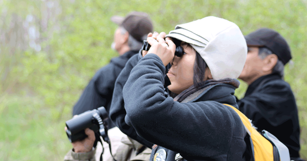 Winter Birding Series: Birding Basics-Beginner