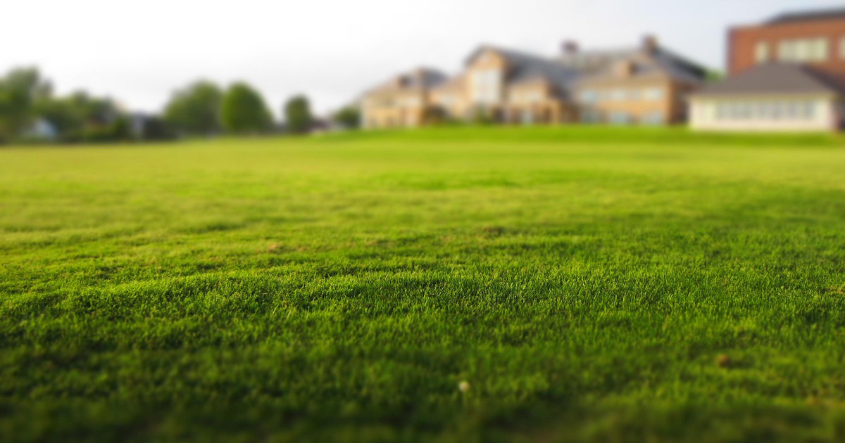 Kickstart Your Lawn Workshop at Toronto Botanical Gardens