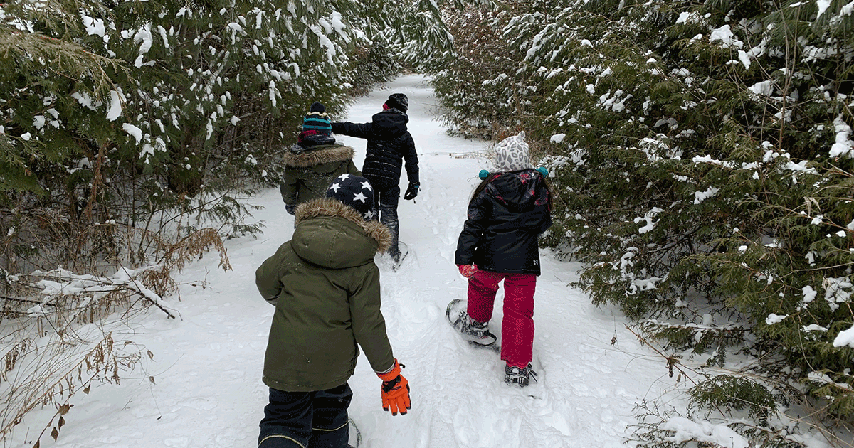 Snowshoes and Snow-Clues | Claremont Nature Centre