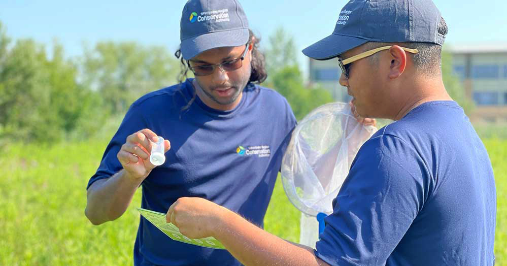 TRCA Youth Council Town Hall Presents: Conservation Careers at TRCA