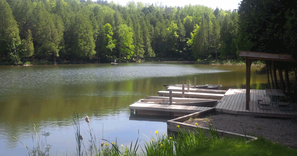 Public Information Centre #2 – Glen Haffy Conservation Park Management Plan