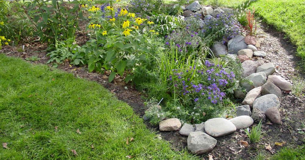 Climate Ready Homes: Rain Gardens 101
