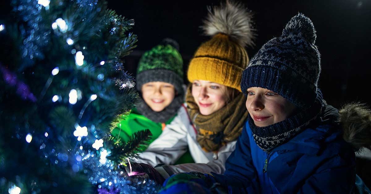 Magical Christmas Forest