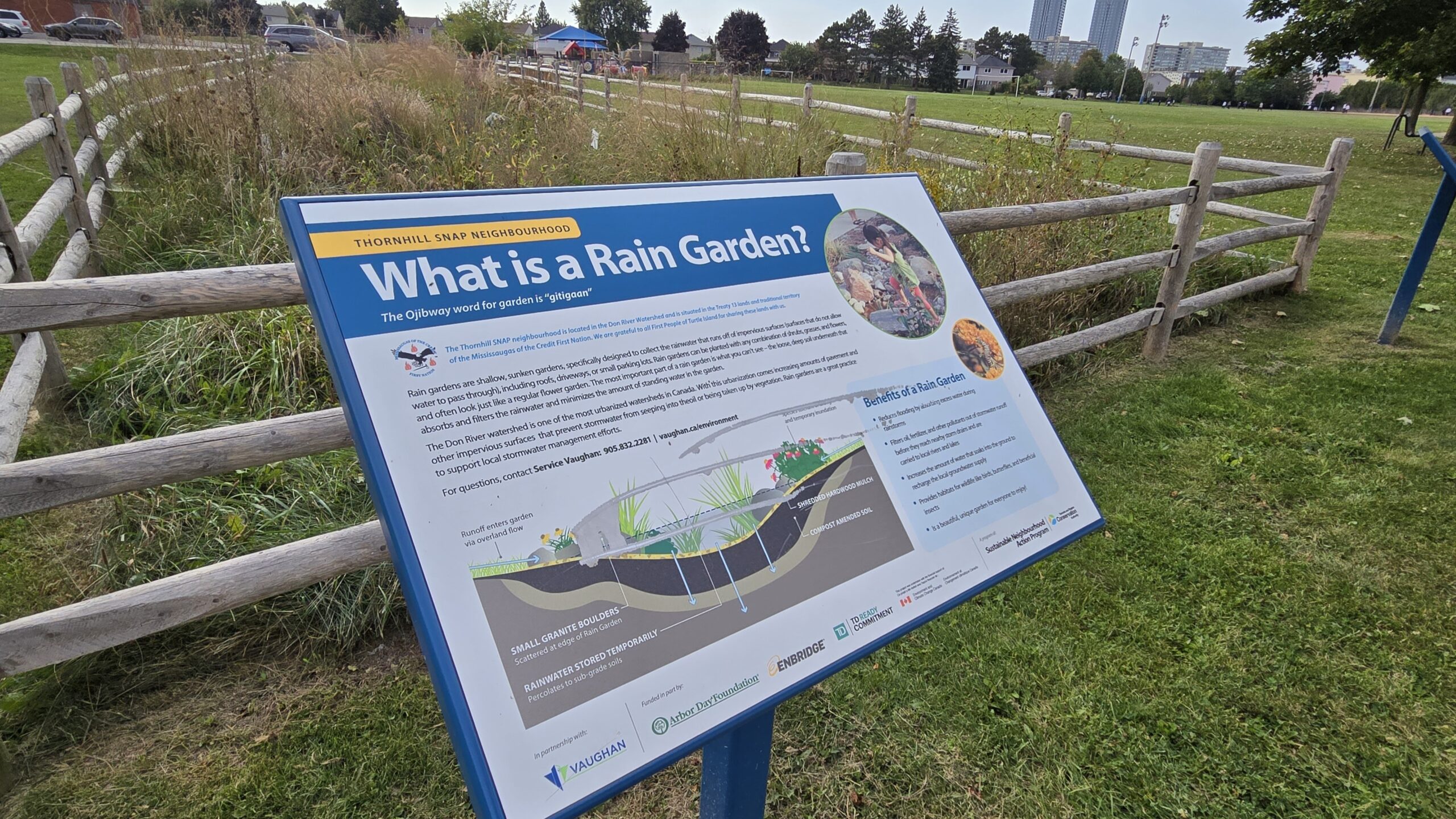 Thornhill SNAP Rain Gardens 101 Workshop