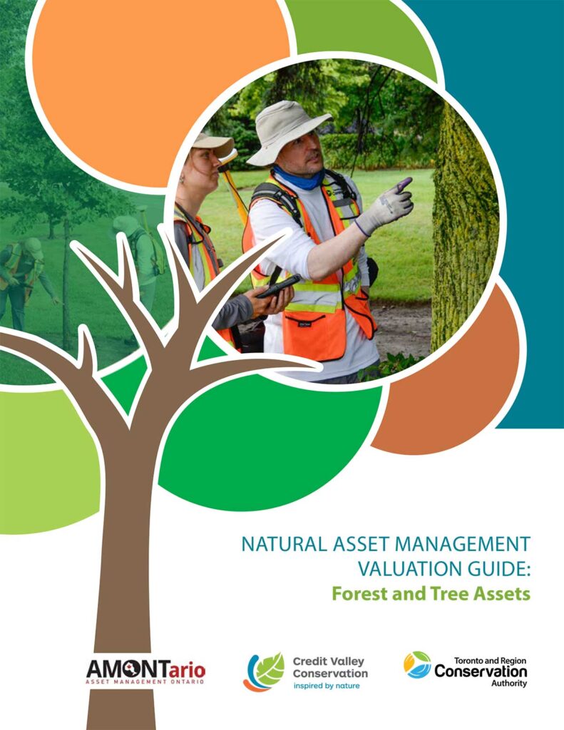 click to open PDF NATURAL ASSET MANAGEMENT VALUATION GUIDE: Forest and Tree Assets