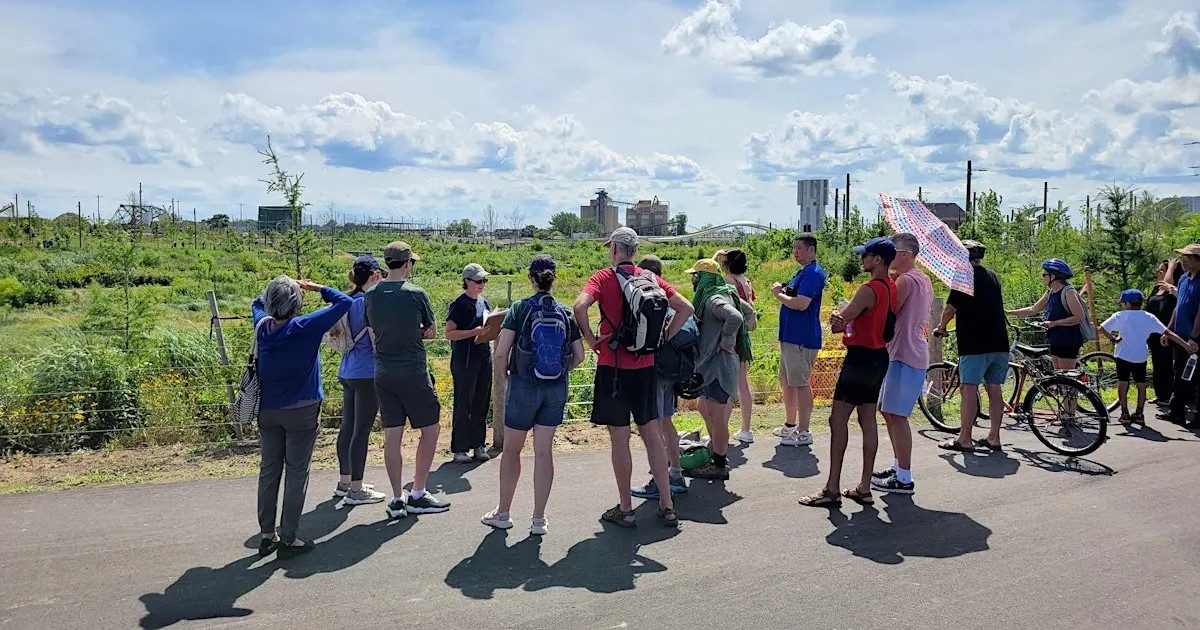 2026 City Nature Challenge at Biidaasige Park