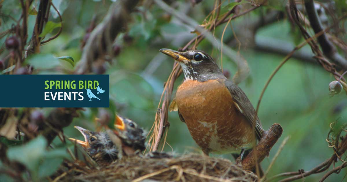 Birding by Bike at Tommy Thompson Park