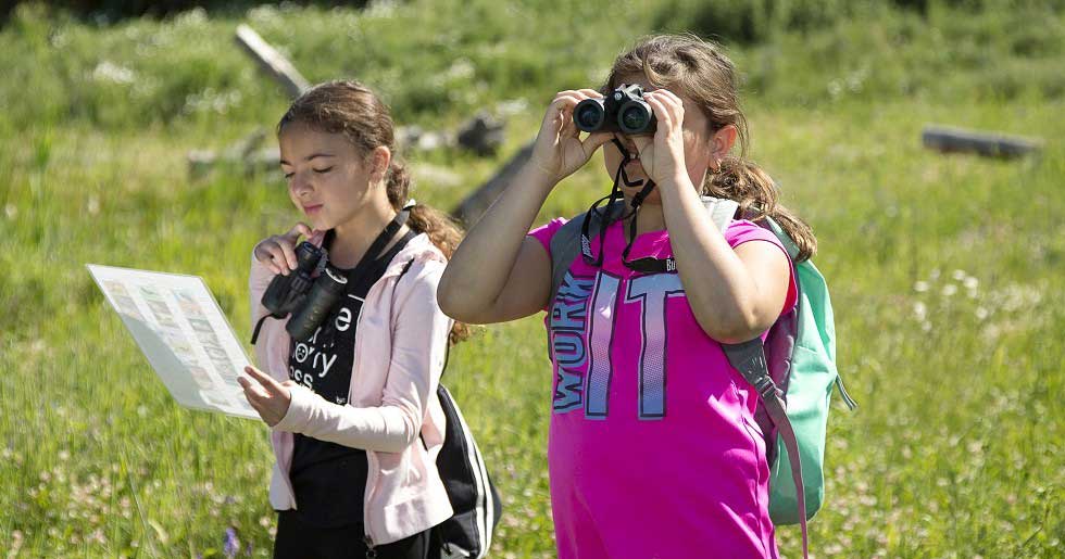 Family Fun Sundays @ Bruce’s Mill : Nature Journaling