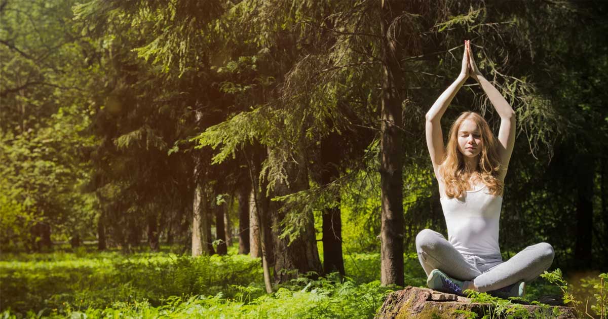 Family Fun Sundays @ Bruce’s Mill : Yoga Story Time