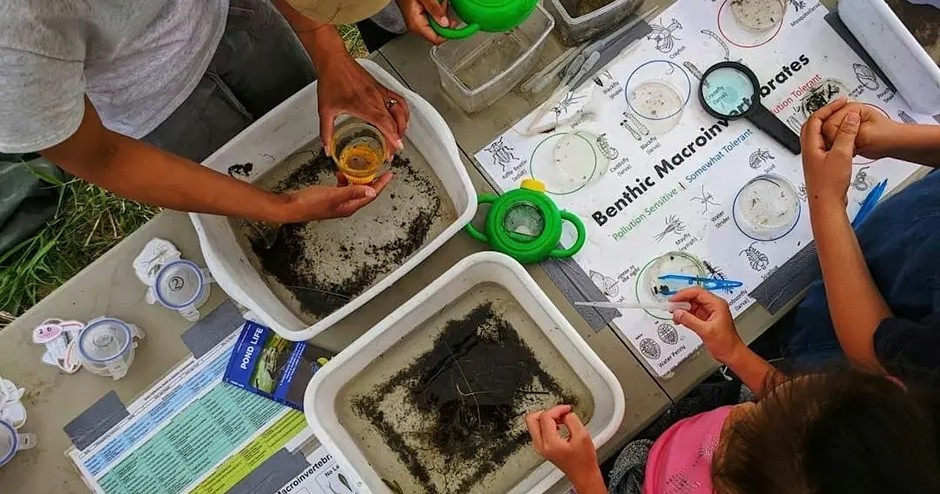 Crawling Crayfish | Bolton Camp