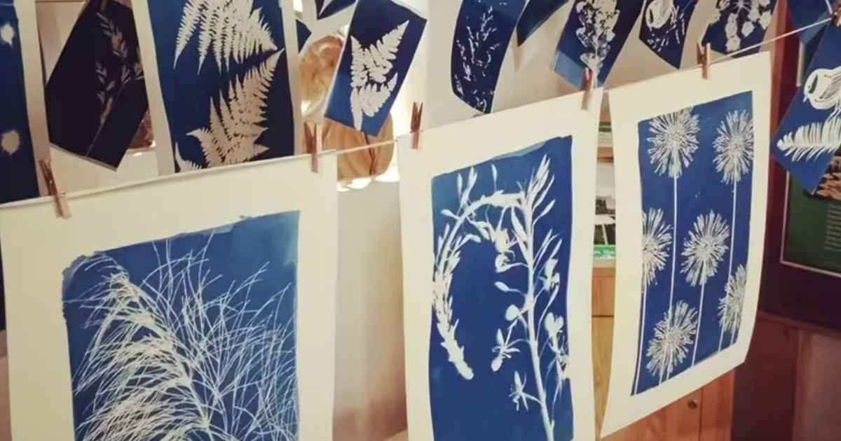 Cyanotype & Early Photography: Botanical Sun Printing Workshop