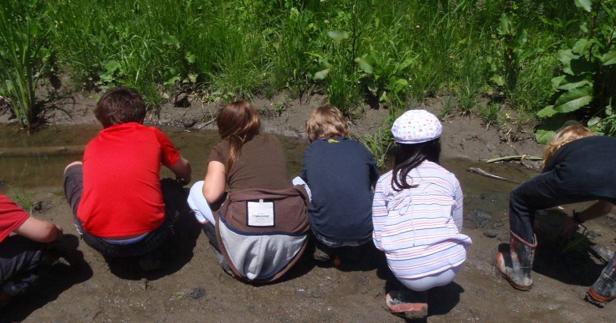 Claireville Family Program: Creek Crawlers