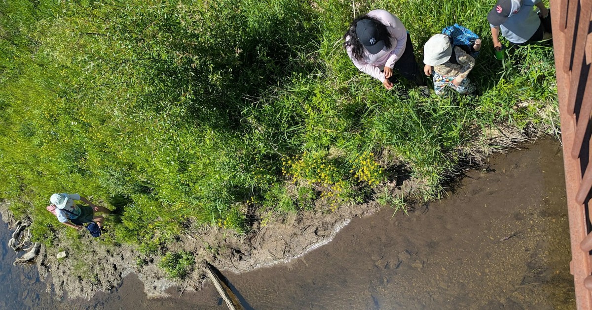 Claireville Family Program: Creek Crawlers